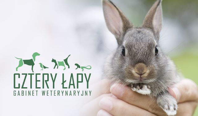 Gabinet Weterynaryjny Cztery Łapy 