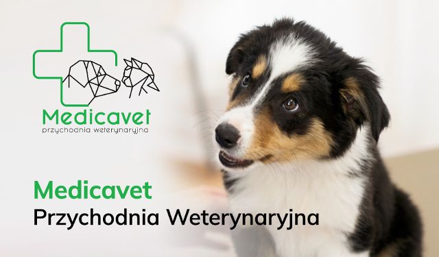 Przychodnia Weterynaryjna MEDICAVET s.c. Dominika, Karol Tura