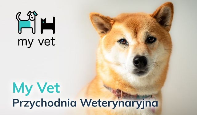 Przychodnia Weterynaryjna My Vet