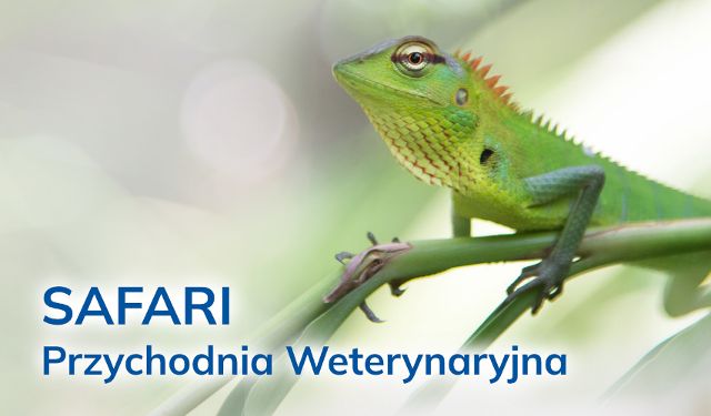 Przychodnia Weterynaryjna Safari