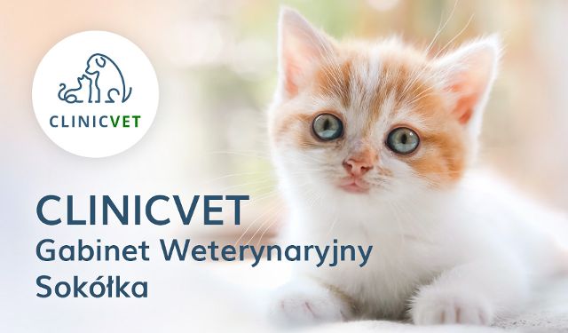 Gabinet weterynaryjny Clinicvet Sokółka