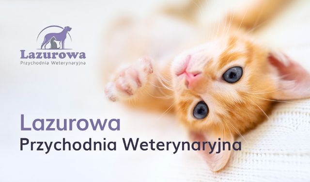 Przychodnia Weterynaryjna Lazurowa