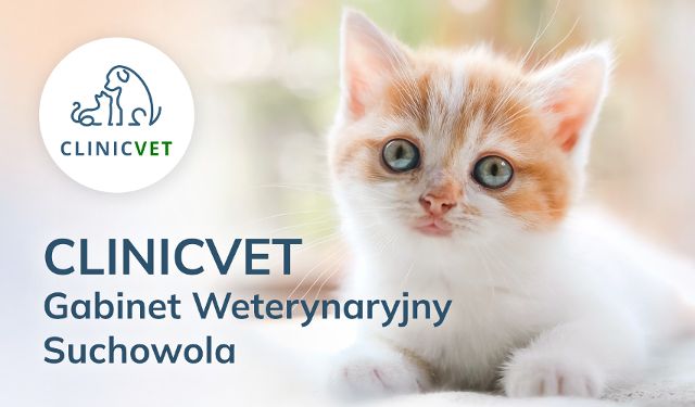 Gabinet Weterynaryjny CLINICVET Suchowola