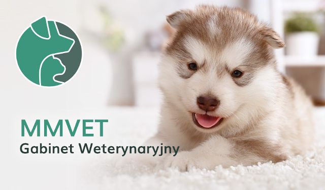 Gabinet Weterynaryjny MMVET