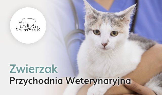 Przychodnia Weterynaryjna Zwierzak