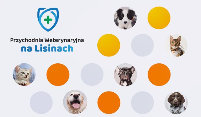 Przychodnia weterynaryjna Na Lisinach