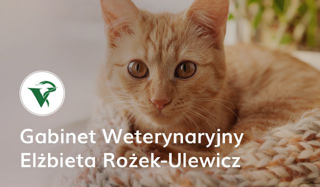 GABINET WETERYNARYJNY lek. wet. Elżbieta Rożek-Ulewicz
