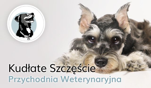 Przychodnia Weterynaryjna Kudłate Szczęście 