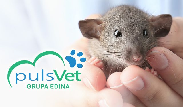 Przychodnia Weterynaryjna PULSVET Grupa EDINA