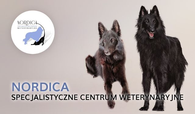 Specjalistyczne Centrum Weterynaryjne NORDICA