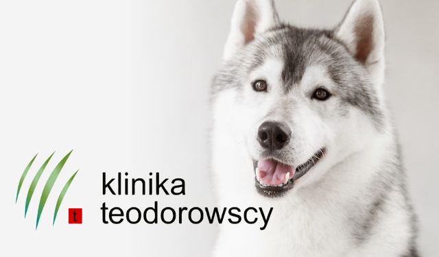 Klinika Teodorowscy Przychodnia w Warszawie