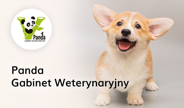 Gabinet Weterynaryjny Panda
