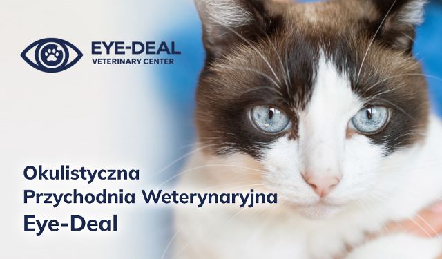 Okulistyczna Przychodnia Weterynaryjna Eye-Deal