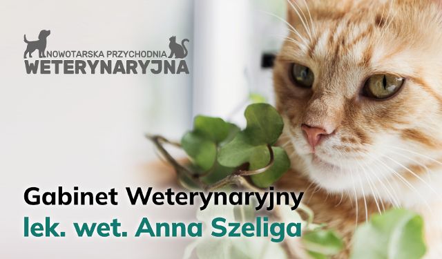 Przychodnia Weterynaryjna Nowotarska