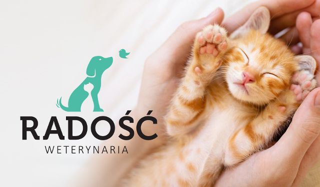 Przychodnia Weterynaryjna Radość