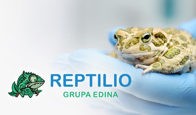 Przychodnia weterynaryjna Reptilio Grupa EDINA