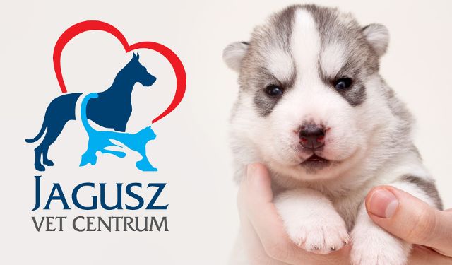 Jagusz Vet Centrum