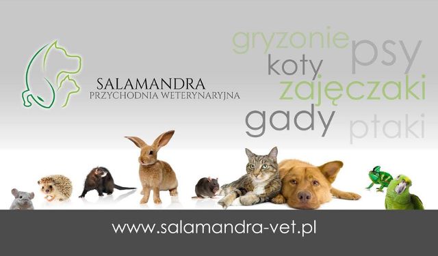 Przychodnia weterynaryjna Salamandra