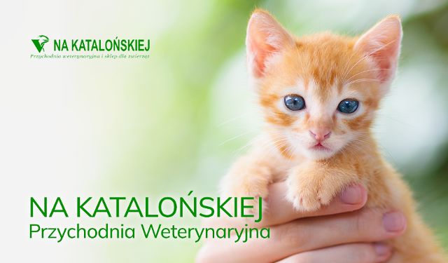Przychodnia Weterynaryjna Na Katalońskiej