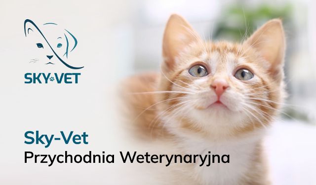 Przychodnia Weterynaryjna Sky-Vet