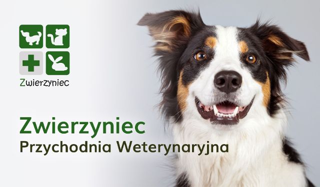 Przychodnia Weterynaryjna Zwierzyniec