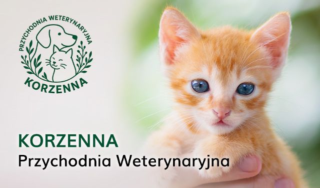 Przychodnia Weterynaryjna Korzenna