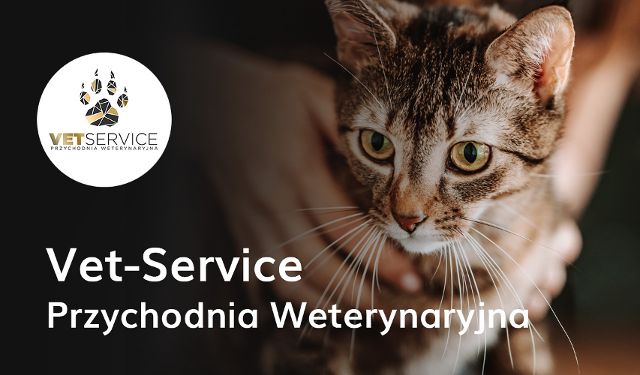 Przychodnia Weterynaryjna Vet-Service