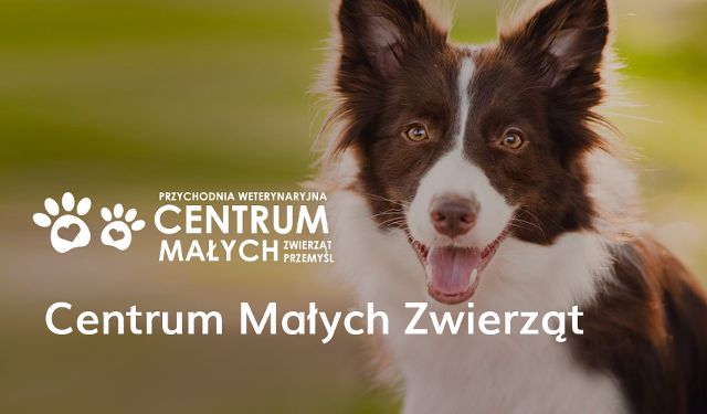 Przychodnia Weterynaryjna Centrum Małych Zwierząt