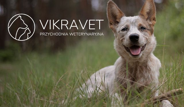 Przychodnia Weterynaryjna VIKRAVET