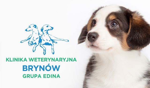 Całodobowa Klinika Weterynaryjna Brynów Grupa EDINA