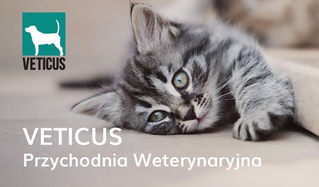 Przychodnia Weterynaryjna Veticus Tomasz Senderowski