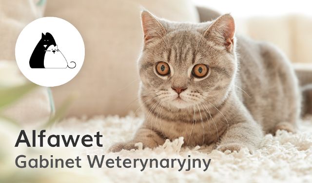 Gabinet Weterynaryjny Alfawet