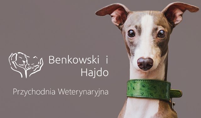 Przychodnia Weterynaryjna Benkowski i Hajdo