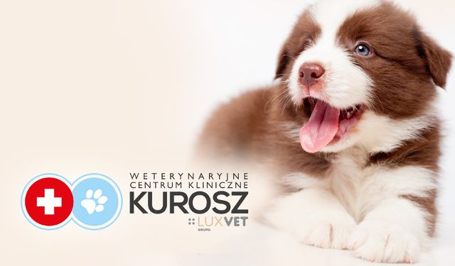 Weterynaryjne Centrum Kliniczne KUROSZ Grupa LUXVET 