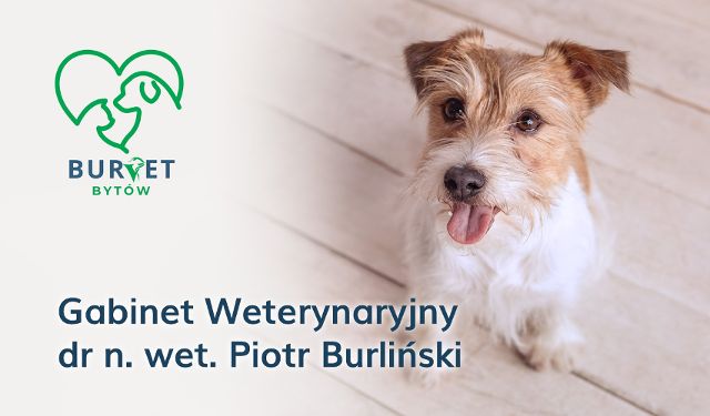 Gabinet Weterynaryjny dr n. wet. Piotr Burliński