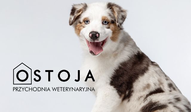 Przychodnia weterynaryjna Ostoja