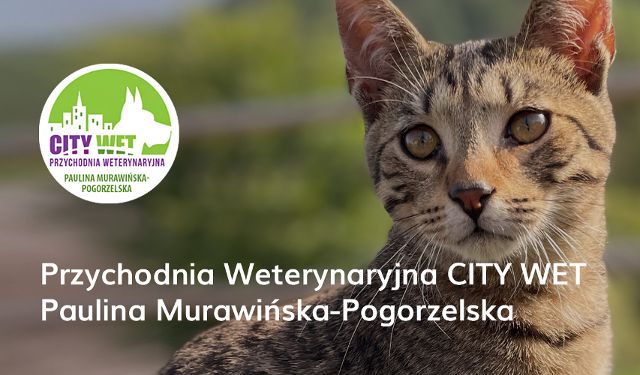 Przychodnia Weterynaryjna CITY WET