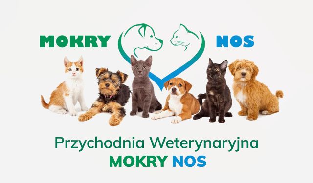 Aleksandra Grzelińska MOKRY NOS Przychodnia Weterynaryjna