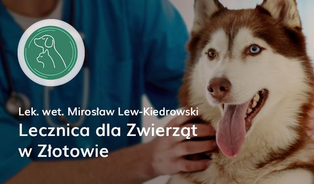 Lecznica Zwierząt w Złotowie lek. wet. Mirosław Lew-Kiedrowski