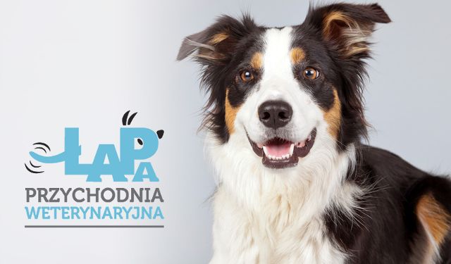 Przychodnia Weterynaryjna Łapa