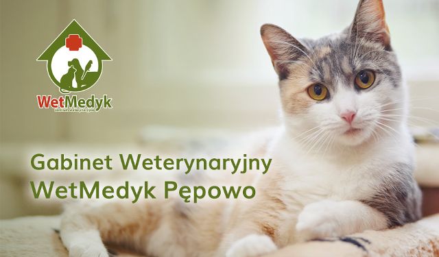 Gabinet Weterynaryjny WetMedyk, Pępowo