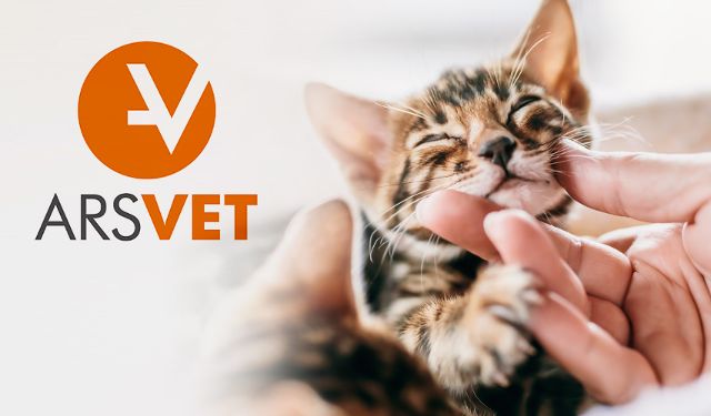 Lecznica Weterynaryjna ArsVet