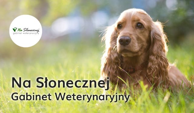 Gabinet Weterynaryjny "Na Słonecznej"