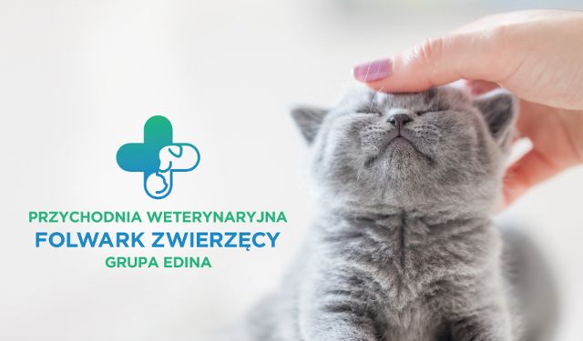 Przychodnia Weterynaryjna Folwark Zwierzęcy Grupa Edina