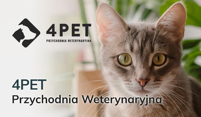 Przychodnia Weterynaryjna 4PET s.c.