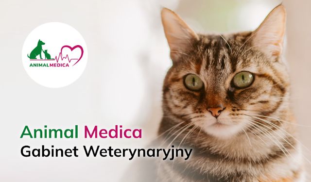 Gabinet Weterynaryjny Animal Medica