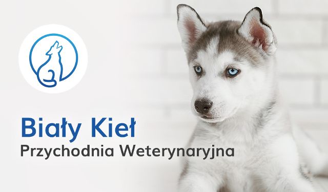 Biały Kieł Przychodnia weterynaryjna