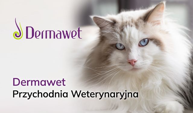 Przychodnia Weterynaryjna Dermawet