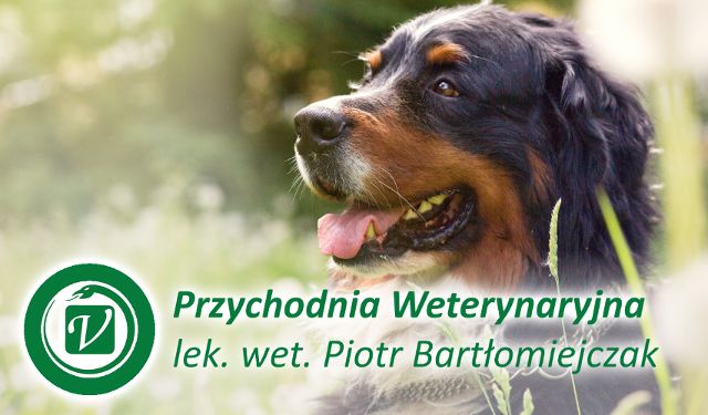Przychodnia Weterynaryjna Piotr Bartłomiejczak