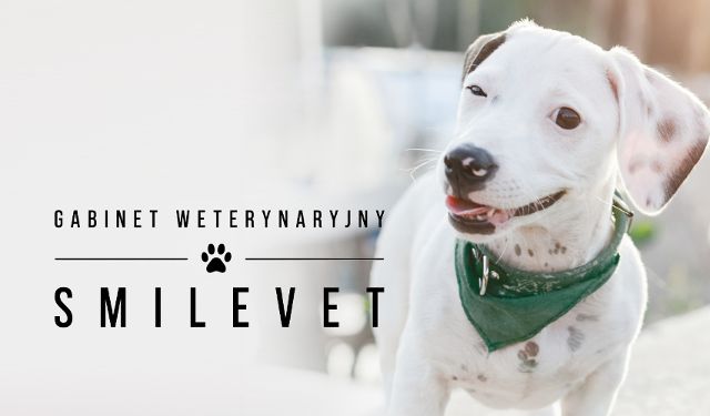 Smilevet Gabinet Weterynaryjny